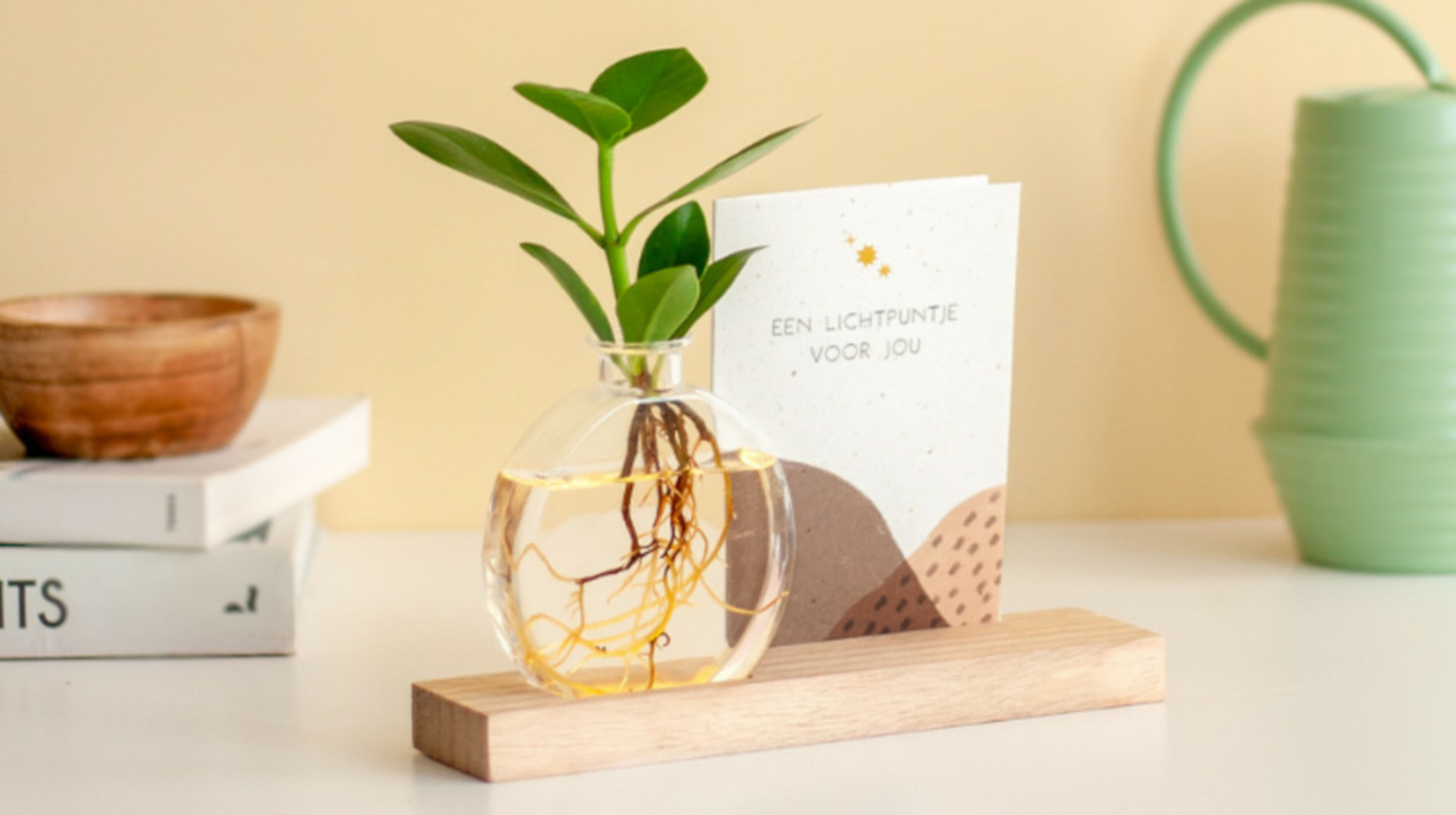 BloomPost bloemen brievenbuscadeau BloomPost bloemen brievenbuscadeau